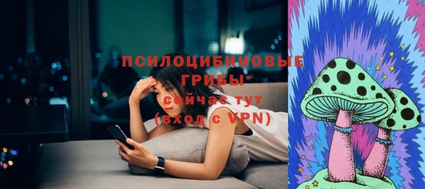 ПСИЛОЦИБИНОВЫЕ ГРИБЫ Абдулино