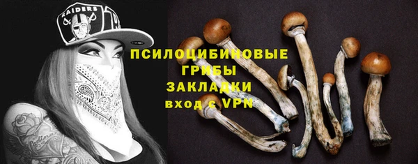 ешки Абаза