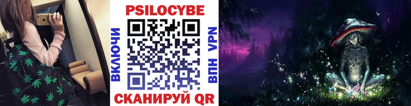 Псилоцибиновые грибы мухоморы  нарко площадка телеграм  Красноперекопск  цены наркотик 